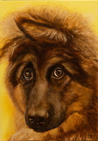 0005 Acrylmalerei, 50 x 70 cm