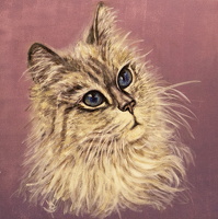 TIERE